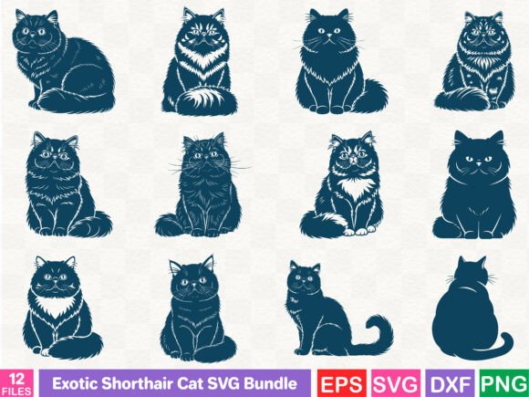 Exotic Shorthair Cat SVG Bundle
